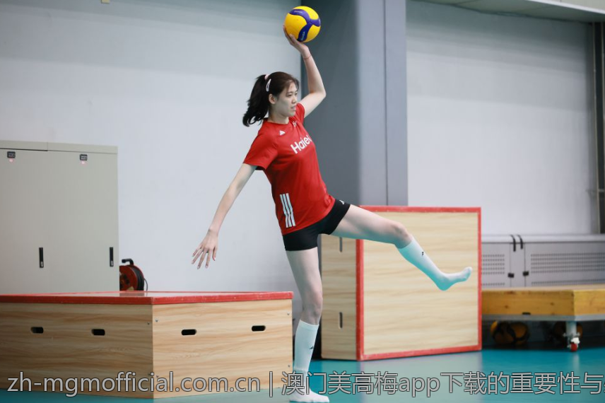 澳门美高梅app下载的重要性与必要性